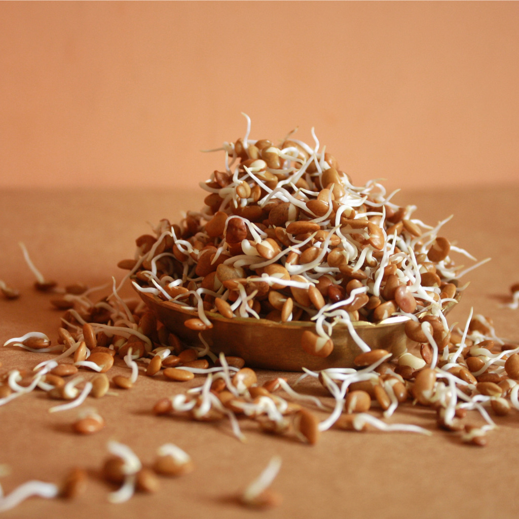 Sprouted Horse Gram Flour The Millet Store