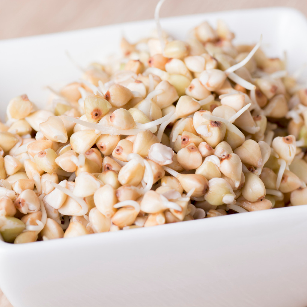 Sprouted Jowar Flour The Millet Store