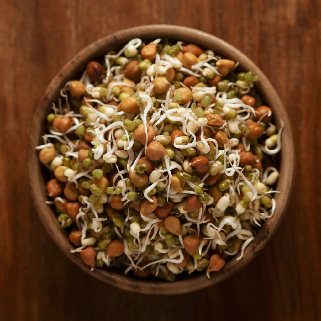 Sprouted Flours The Millet Store